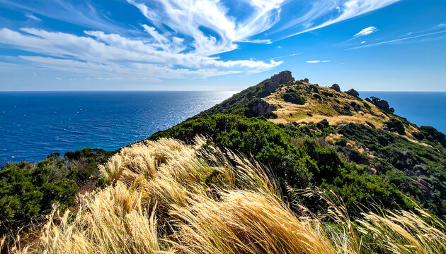 Scenic coastal headland with dry grass in the foreground and vast blue ocean under a dramatic sky