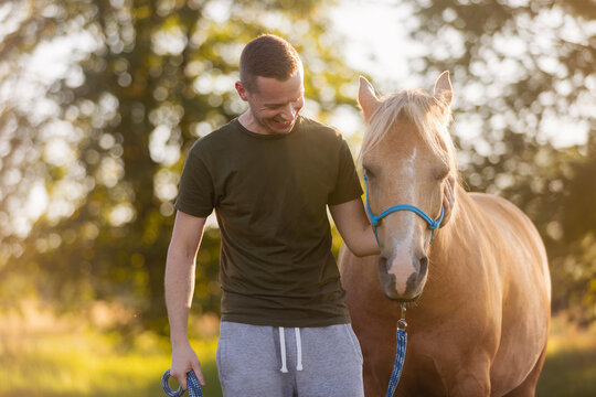 Man leading horse on meadow during hippotherapy session on sunny day. Animal assisted therapy, rehabilitation, outdoor activity and healthcare concept.