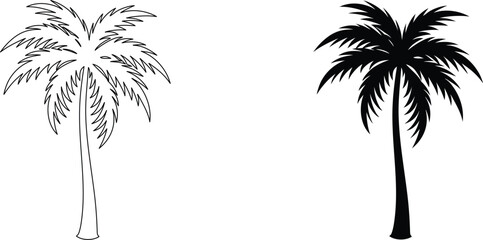 Tropical palm tree silhouette and outline set isolated on transparent background for logo. © pankajkumar