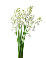 Fototapeta premium Bouquet of beautiful fragrant lily-of-the-valley flowers isolated on white