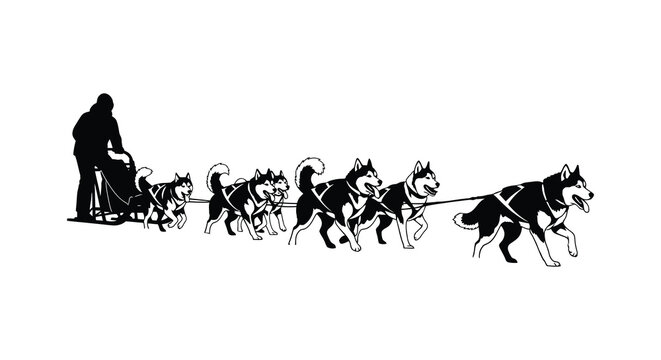 Dog sled team with musher pulling sled in black silhouette