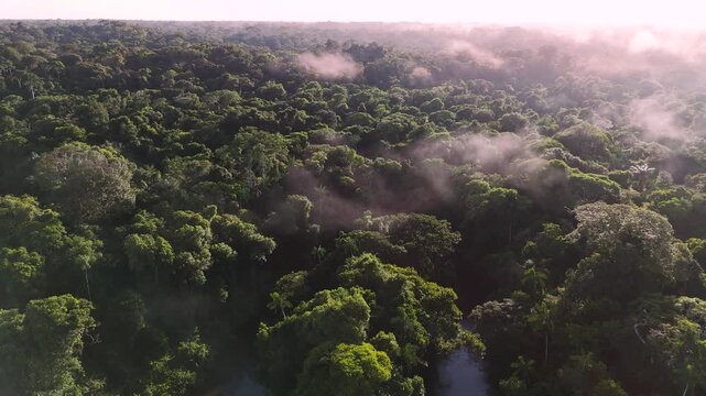 Cinematic Drone Footage of Leticia and Arara in the Amazon Rainforest &ndash; Colombia&rsquo;s Gateway to the Jungle and River Life