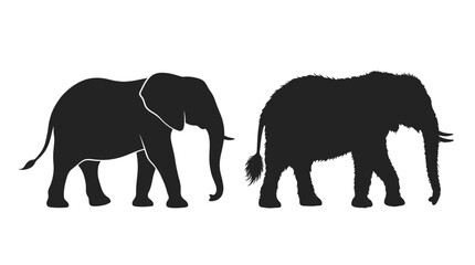Fototapeta premium Black silhouettes of two walking elephants side by side