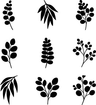Set of nine black silhouette botanical illustrations of various leafy branches with oval