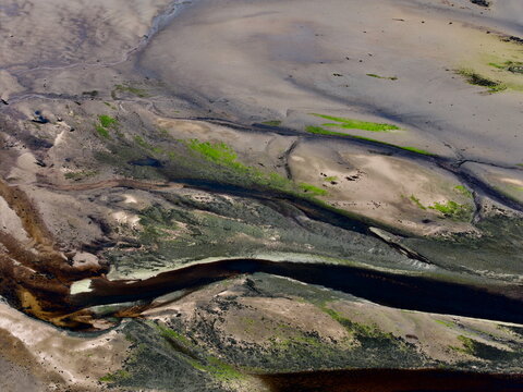 Aerial view of the intricate tidal patterns and dark water channels of Findhorn Bay with patches of green algae on the sand Findhorn, Scotland, United Kingdom.