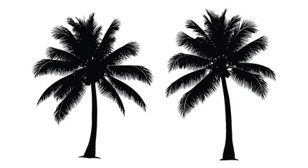 Fototapeta premium Palm tree silhouettes on white background