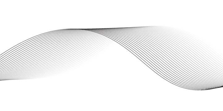 Technology abstract lines on white and black background. Undulate Grey Wave Swirl, frequency sound wave, twisted curve lines with blend effect abstract vector abstract background