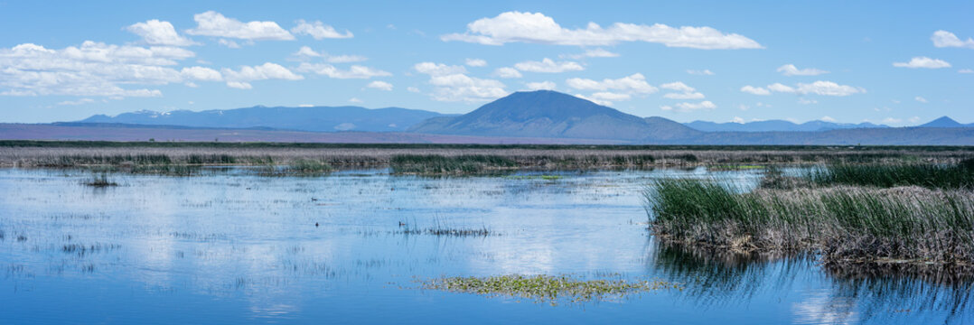 View From Lower Klamath Overlook