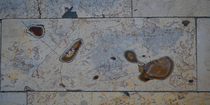 Close-up of a polished natural stone surface, sandstone or marble with visible silica inclusions. Geological texture, mineral pattern, natural material background, abstract stone surface detail.