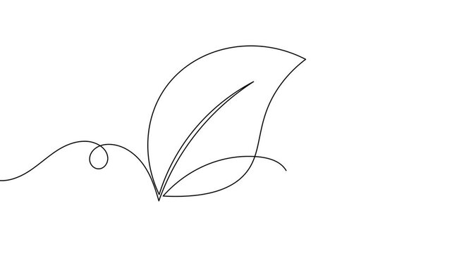 Hand drawn leaf sign continuous one line single art drawing on white background minimalist natural plant branch symbol 4k animation video