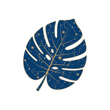 Monstera leaf illustration with constellation pattern dark blue and gold