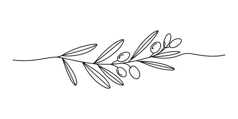 Continuous single line drawing of an olive branch with leaves and olives for simple organic food design and minimalist botanical aesthetic element Vector, illustration © Kailash Roy