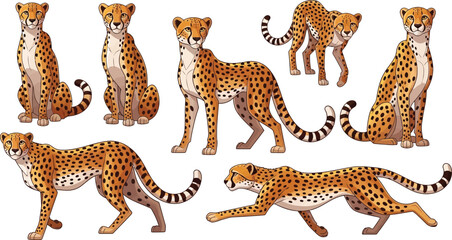  Cartoon Cheetah Collection Featuring Multiple Poses Including Sitting Walking Running and Stalking Isolated on White Background © MdAnowar