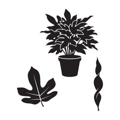 Philodendron potted plant split leaf and twisted vine set © MAHEDI