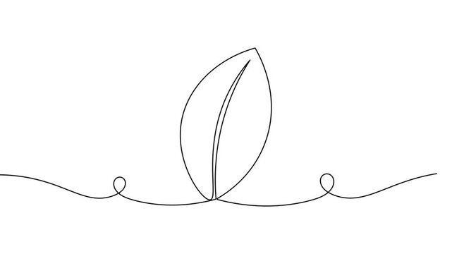 Leaf icon sign continuous one line drawing on white background minimalist ecology concept symbol 4k animation video
