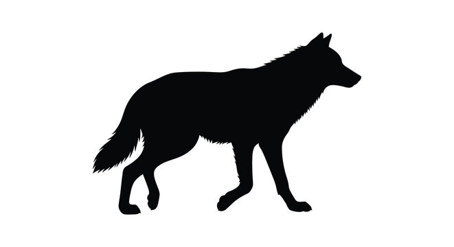 Wolf silhouette in profile black on white background silhouette