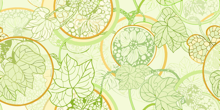 melon pattern a decorative illustration of fruit slices