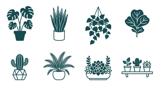 Collection of hand drawn houseplant illustrations set.
