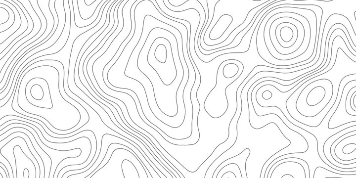 Abstract gray topography contour map background. Topography background. Vector banner. Topography map background.