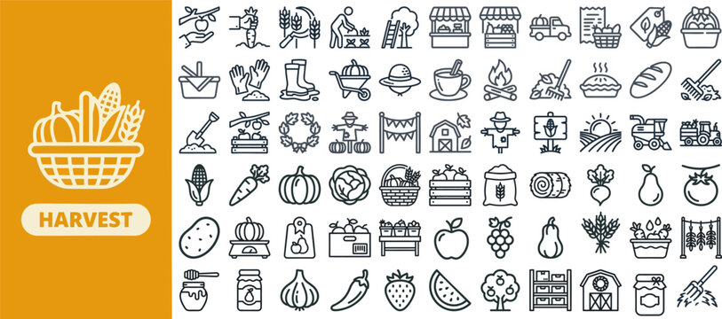 Harvest Season and Autumn Produce outline icon set. Featuring basket, apple, grape, wheat, and scythe symbols. Editable stroke vector icons for farmers market app and seasonal cooking blog.