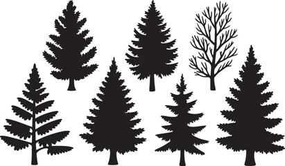 Set of coniferous trees, vector and isolated © Masud