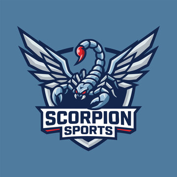 Scorpion sports logo design mascot illustration for teams and esports
