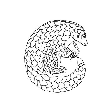 Pangolin coloring page black and white line art vector illustration.