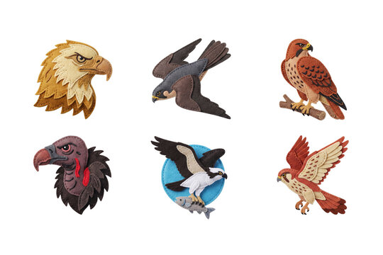 Set of birds of prey in felt craft style featuring bald eagle, peregrine falcon, osprey, vulture, and hawk.