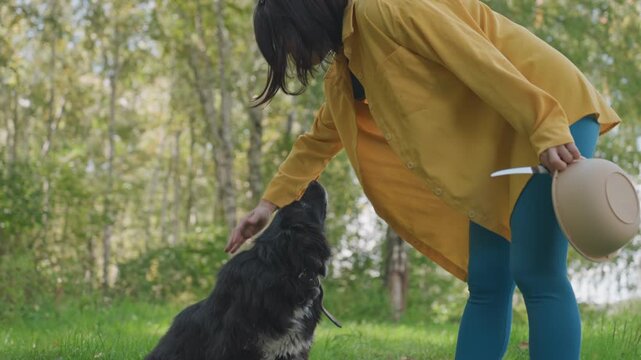 White woman camping petting black dog, intimate nature scene showing gentle interaction with hat in hand, kneeling posture, closeup of mutual trust, soft sunlight, green birch backdrop