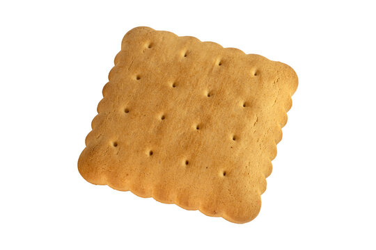 Golden baked cracker biscuit with scalloped edges and perforated texture