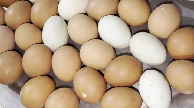 Assorted fresh brown and white raw eggs in a pile for cooking and breakfast food concept