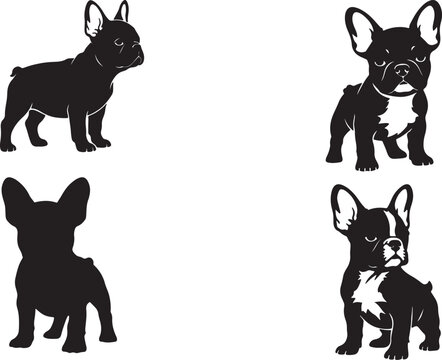 rench bulldog puppy.