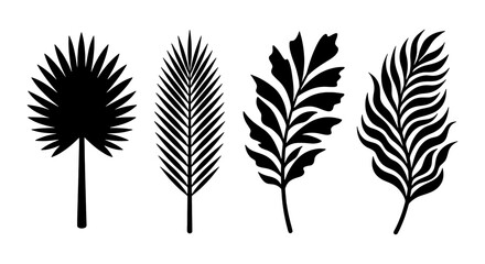 Fototapeta premium Tropical Palm Leaf Silhouettes, Exotic Botanical Vector Set, Black and White Jungle Foliage Collection, Nature Design Elements