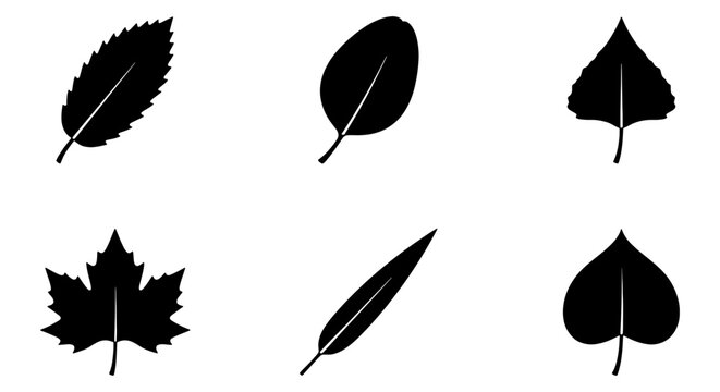 Diverse Leaf Silhouettes Vector Set, Botanical Icons Collection, Nature Elements, Autumn Foliage Shapes, Organic Design Graphics