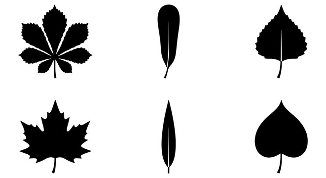 Diverse Leaf Silhouettes Collection, Botanical Vector Icons, Nature Elements Set, Organic Shapes for Design