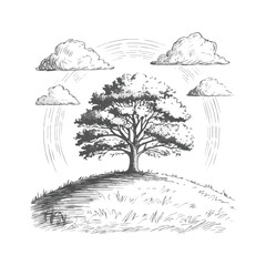 A lone tree stands proudly on a grassy hill under a cloudy sky with radiating lines © Salirtun