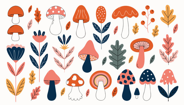 Autumn forest nature collection with mushrooms leaves and flowers illustration