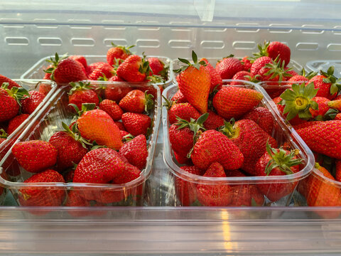 Fresh strawberries in containers are ready for sale in the store. Supermarket advertising banner design concept.