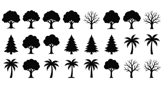 Black Silhouette Set of Various Trees and Palms Line Art Illustration