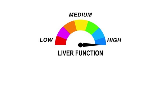 Animated liver function meter decreasing from normal to low level, ideal for concepts related to poor liver function, liver disease and health monitoring