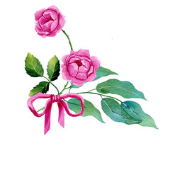 Fototapeta premium Rose and leaf, eucalyptus branch, bow. Hand painted watercolor illustration isolated on white background. For design, cards, postcards, flyers