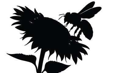 Obraz premium Black silhouette of sunflower with bee illustration on abstract nature concept isolated on white background