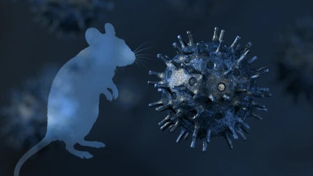 Conceptual animation showing a translucent mouse silhouette observing a rotating virus cell, symbolizing scientific research on zoonotic diseases, epidemics, and vaccine development in a lab