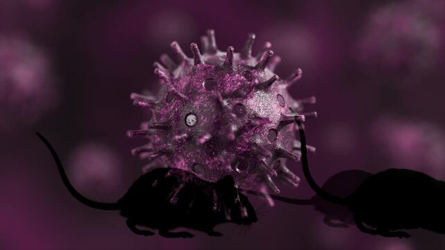 Hantavirus pulmonary syndrome, a severe respiratory disease transmitted by infected rodents through urine, droppings, or saliva, conceptualized through an artistic and abstract 3d animation