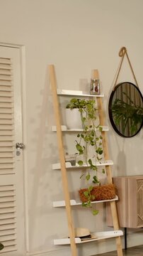 Vertical video: Panning camera centering on leaning ladder shelf at home, showing plant and basket