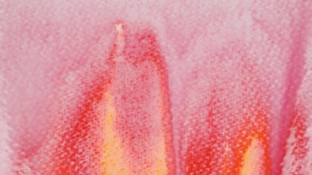 Close up of red watercolour drawing paints on paper. Artist draws with a brush, liquid analog effects for background with copy space for text in center. 