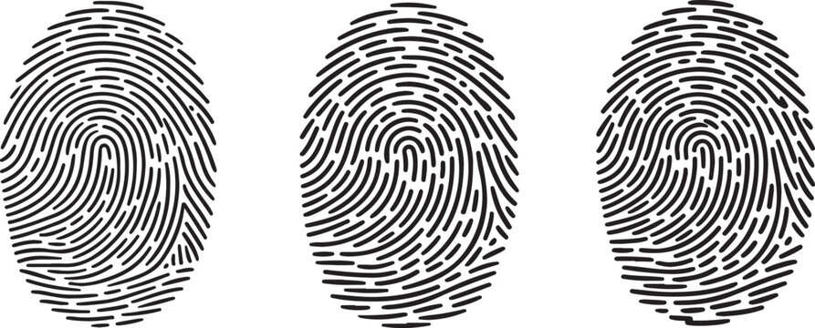 Set of three unique fingerprint icons, realistic human thumbprint patterns for biometric identification, security, and digital authentication concepts