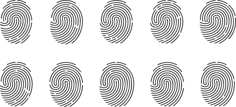 Set of ten fingerprint icons, realistic human finger print patterns, biometric identification, security and identity verification concept, vector illustration