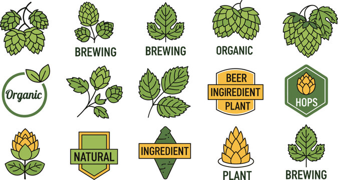 Hop Plant and Beer Brewing Ingredient Vector Icon Set on White Background