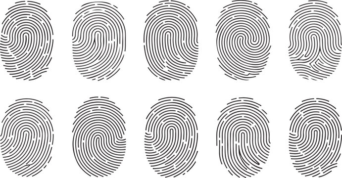 Set of ten different fingerprint patterns, vector illustration of human fingerprints